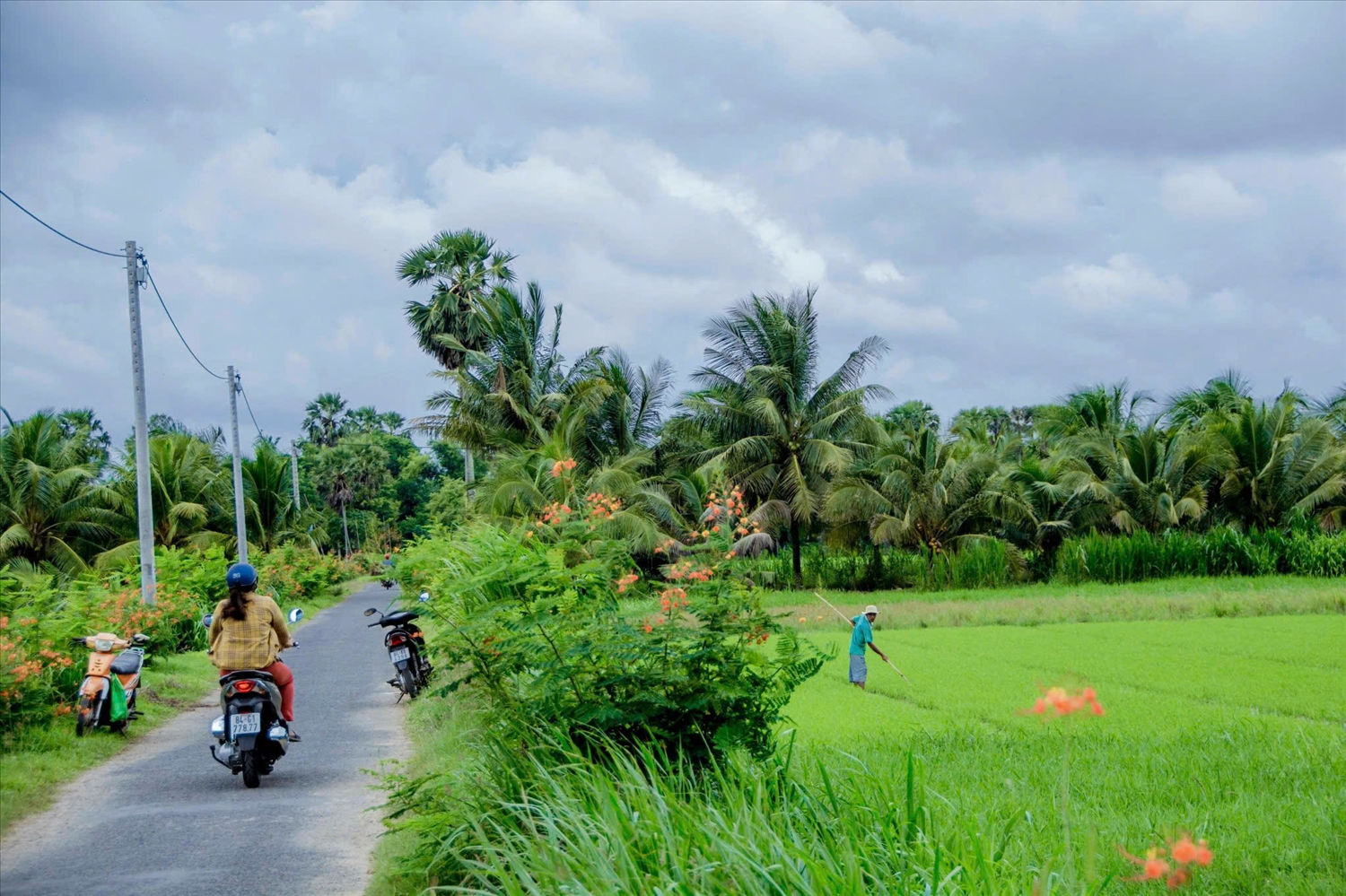 Thực hiện nhiệm vụ xây dựng nông thôn mới ở Trà Vinh, đã góp phần hoàn thiện hệ thống giao thông nông thôn, nối liền các phum sóc giúp đồng bào thuận lợi trong giao thương Thực hiện nhiệm vụ xây dựng nông thôn mới ở Trà Vinh, đã góp phần hoàn thiện hệ thống giao thông nông thôn, nối liền các phum sóc giúp đồng bào thuận lợi trong giao thương