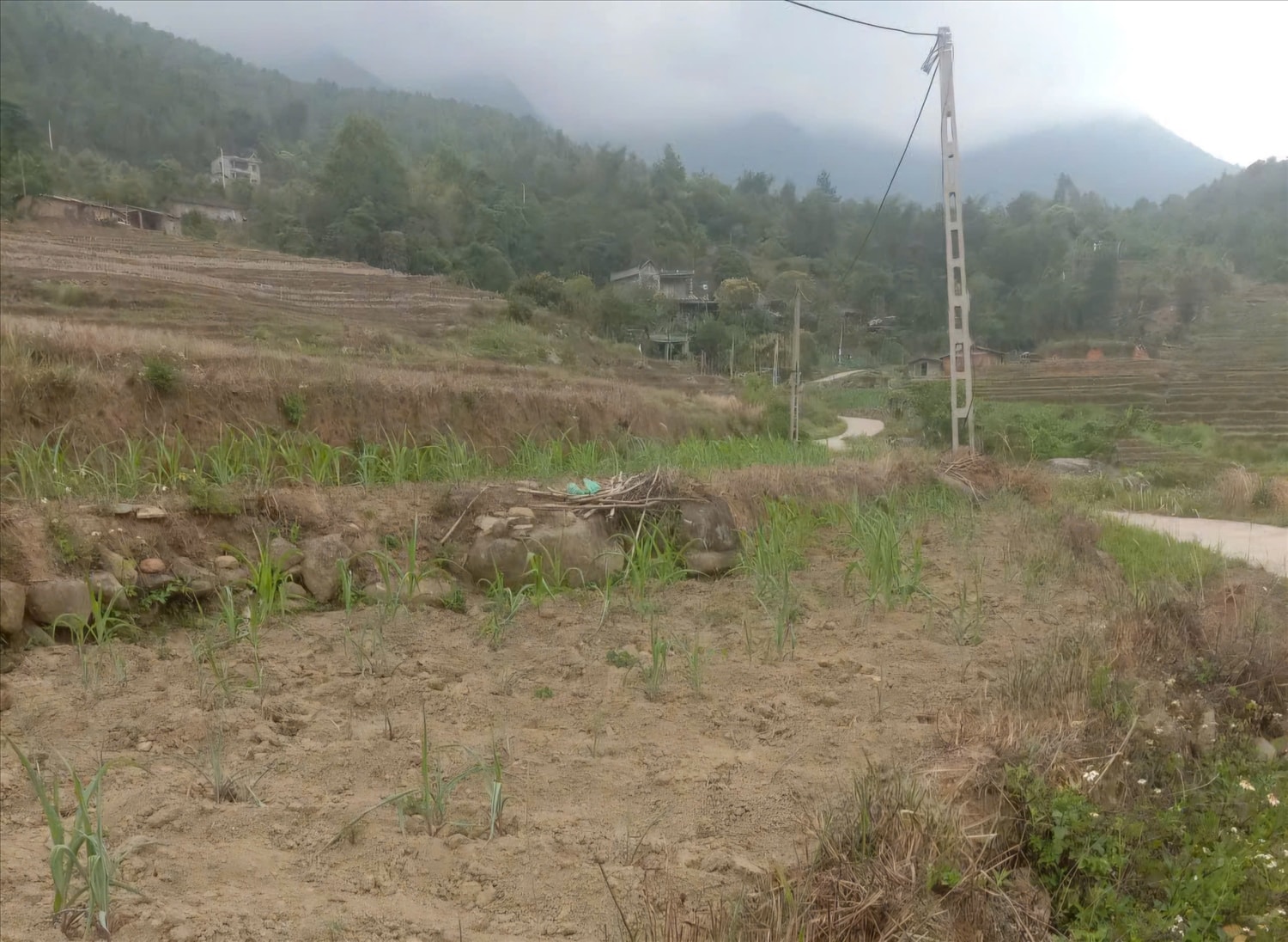 Bình Liêu đang trải qua đợt hạn hán nghiêm trọng chưa từng có trong nhiều năm trở lại đây