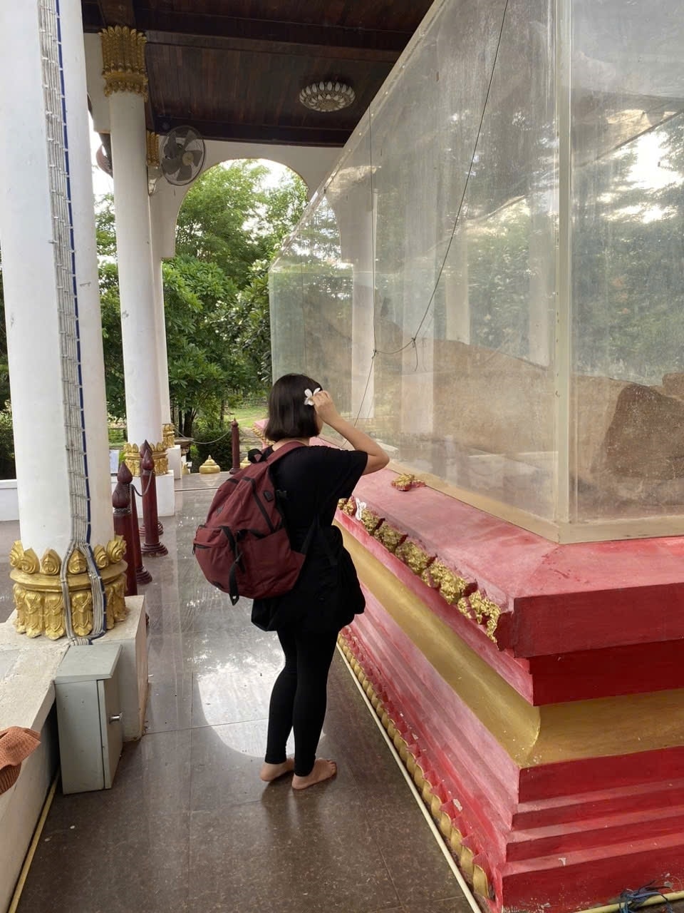 Du khách đang tham quan cây manikhoth tại Bảo tàng thác Khone Phapheng - Ảnh Xuân Hiền Du khách đang tham quan cây manikhoth tại Bảo tàng thác Khone Phapheng - Ảnh Xuân Hiền