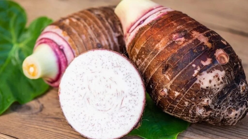 (Tổng hợp) Kỹ thuật trồng khoai môn hiệu quả 3