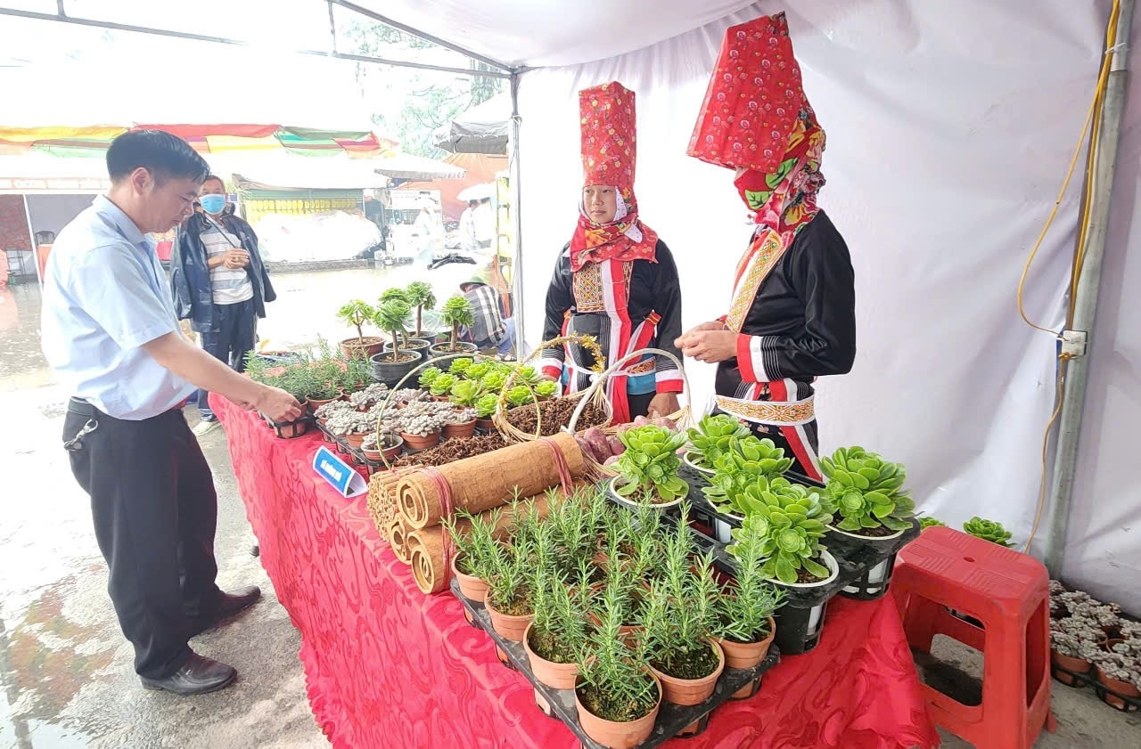 Nhiều mặt hàng thu hút người dân cũng như khách du lịch 