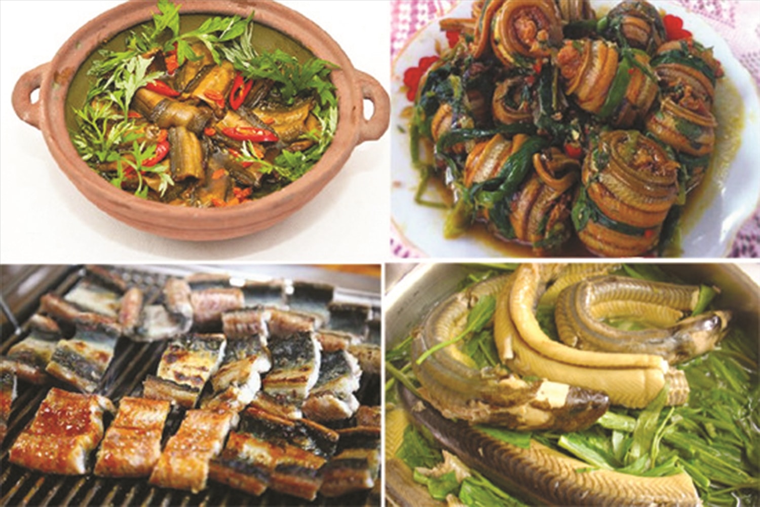 Các món ăn được  chế biến từ lươn