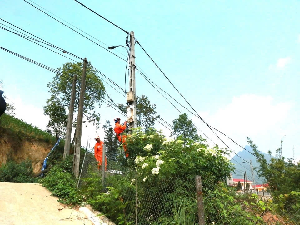 PC Lào Cai thường xuyên bảo trì hệ thống truyền tải điện bảo đảm an toàn