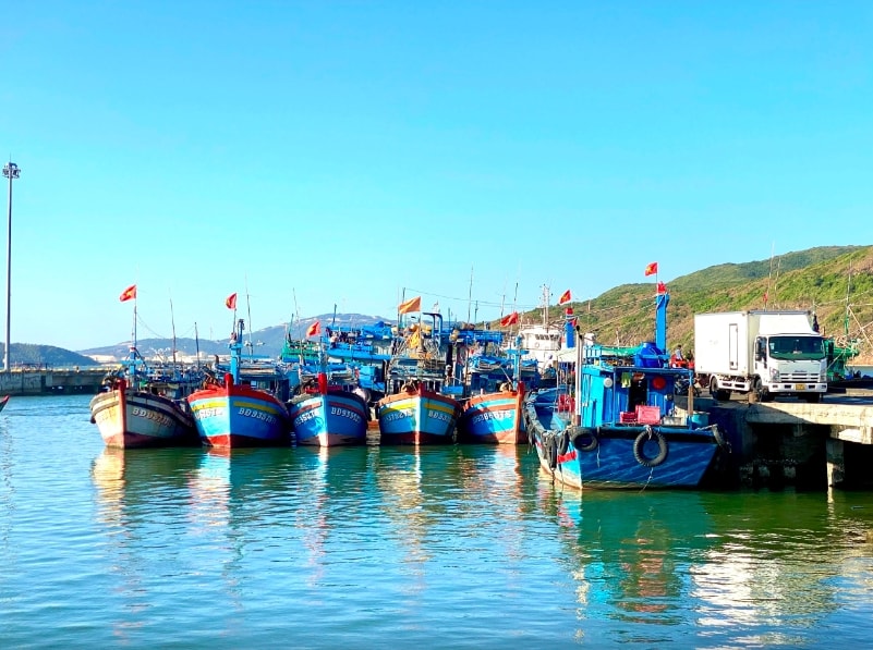 Bình Định là một trong những địa phương có đội tàu cá hùng hậu nhất cả nước