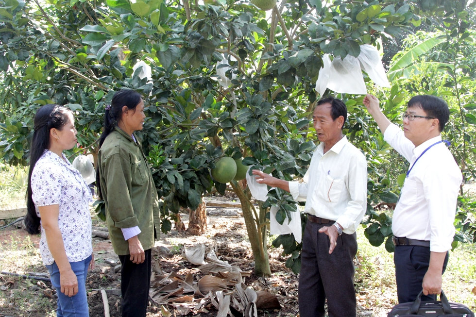 Ngoài công tác cho vay, cán bộ NHCSXH huyện Khánh Vĩnh còn đến từng hộ để hướng dẫn cách làm ăn theo kiểu 