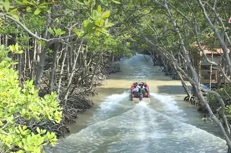 Khám phá rừng Sác