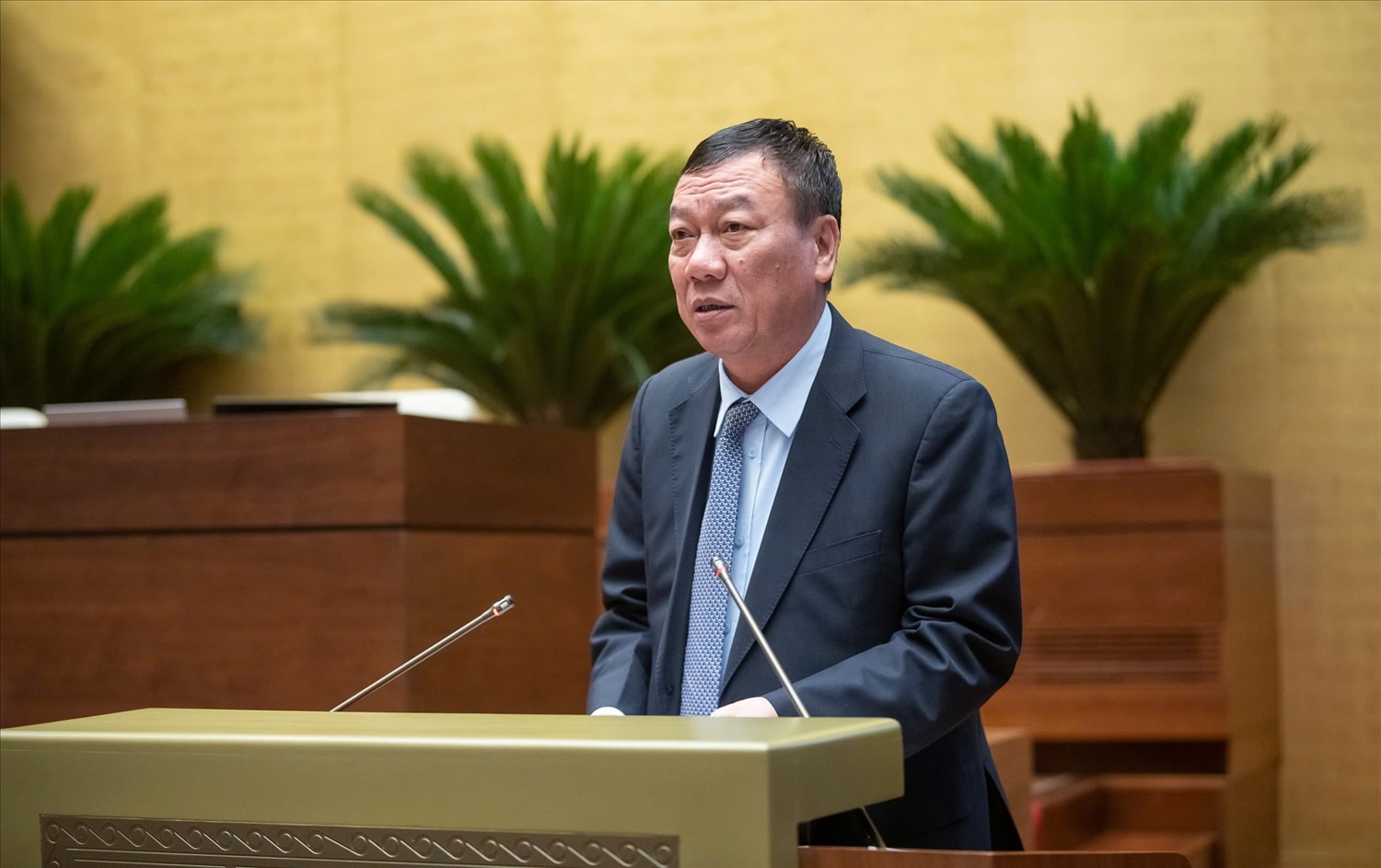 Tổng thanh tra Chính phủ Đoàn Hồng Phong Tổng thanh tra Chính phủ Đoàn Hồng Phong