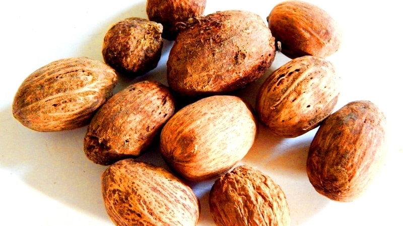 (Tổng hợp) Những bài thuốc hay từ cây tu hú 3