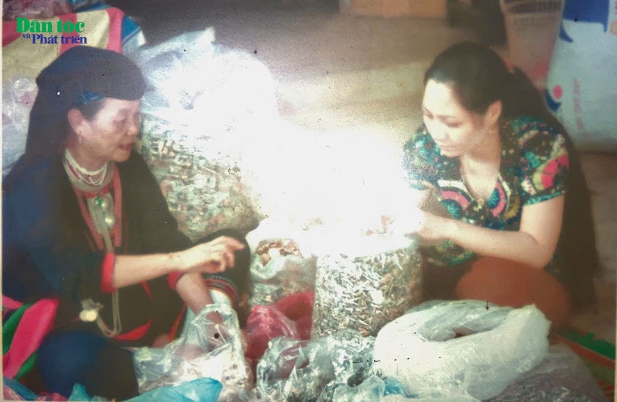 Thầy thuốc Triệu Thị Lan (thôn Yên Sơn, xã Ba Vì, huyện Ba Vì, Hà Nội) đang thực hành nghề (Ảnh: Làng Dao - Làng Văn hóa - Du lịch các dân tộc Việt Nam) Thầy thuốc Triệu Thị Lan (thôn Yên Sơn, xã Ba Vì, huyện Ba Vì, Hà Nội) đang thực hành nghề (Ảnh: Làng Dao - Làng Văn hóa - Du lịch các dân tộc Việt Nam)