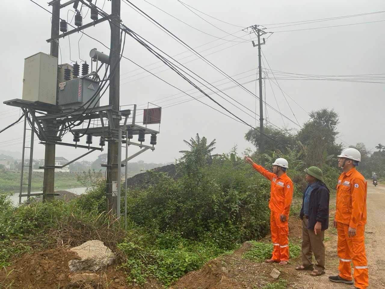 Công ty Điện lực Hòa Bình: Tăng cường giải pháp đảm bảo hành lang an toàn lưới điện 