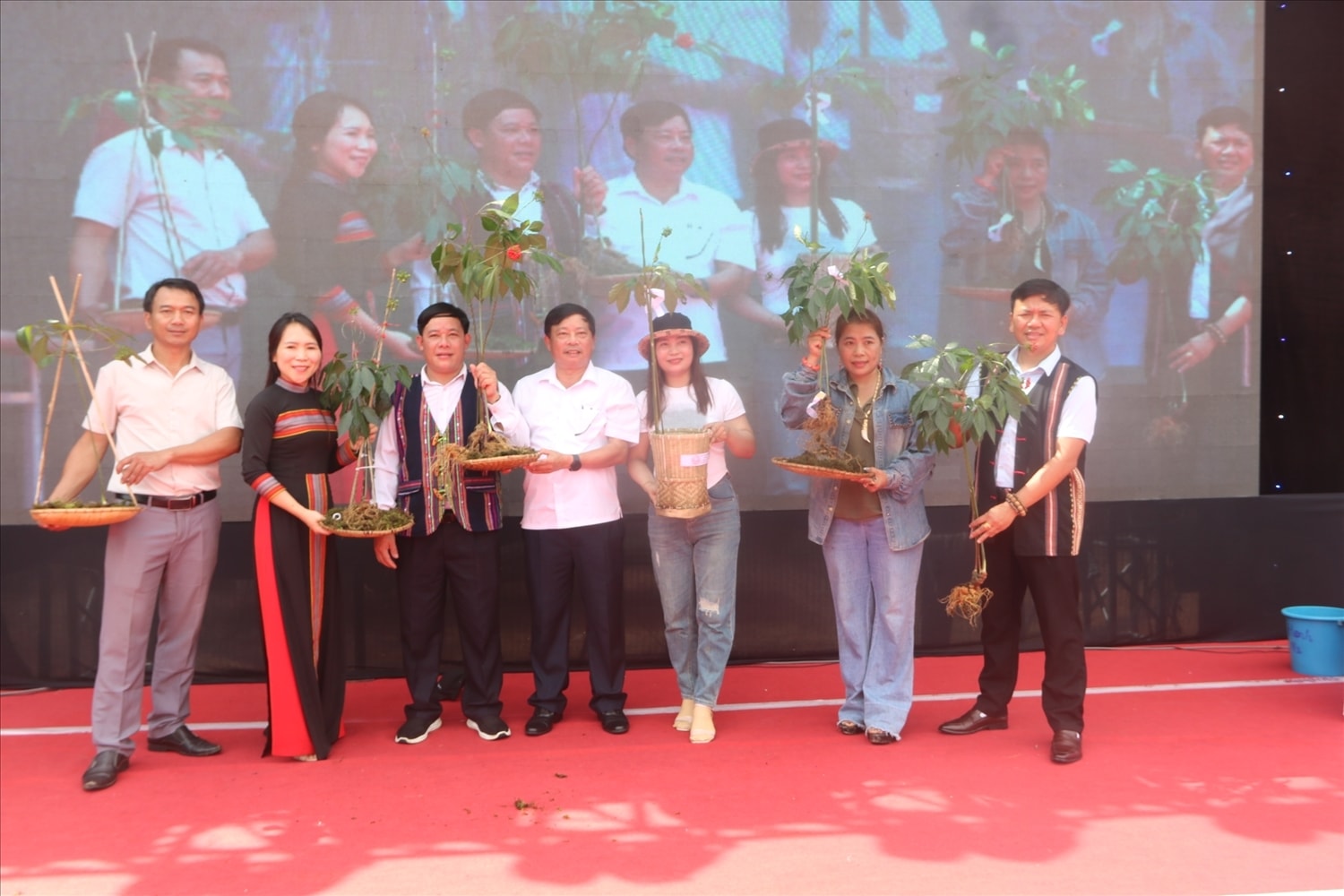 Sâm Ngọc Linh được trồng chủ yếu ở Nam Trà My, Quảng Nam. Sâm Ngọc Linh được trồng chủ yếu ở Nam Trà My, Quảng Nam.