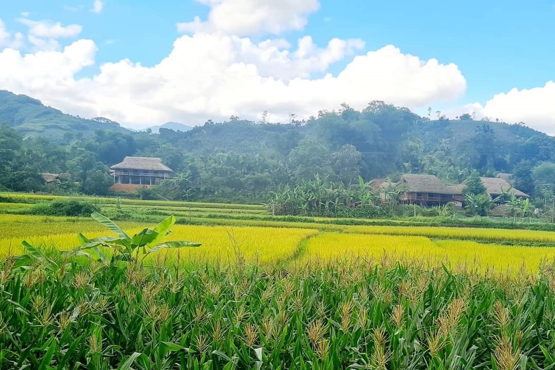 Nghĩa Đô đang hướng đến xây dựng miền quê thanh bình, đáng sống