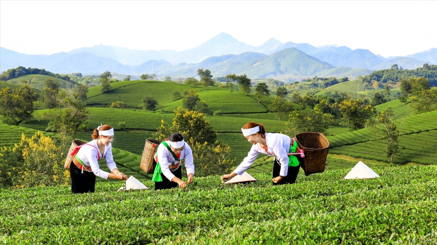 Đời sống người dân vùng đồng bào DTTS và miền núi đã có bước phát triển nhờ Chương trình MTQG 1719 (Ảnh minh họa).