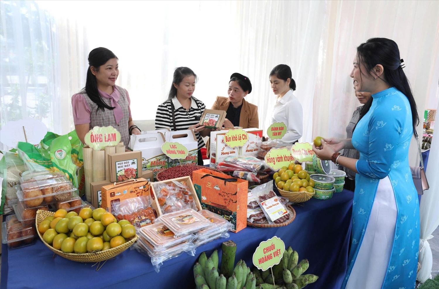 Đề án hỗ trợ phụ nữ khởi nghiệp ở Lạng Sơn: Thêm nguồn lực giúp hội viên làm giàu 