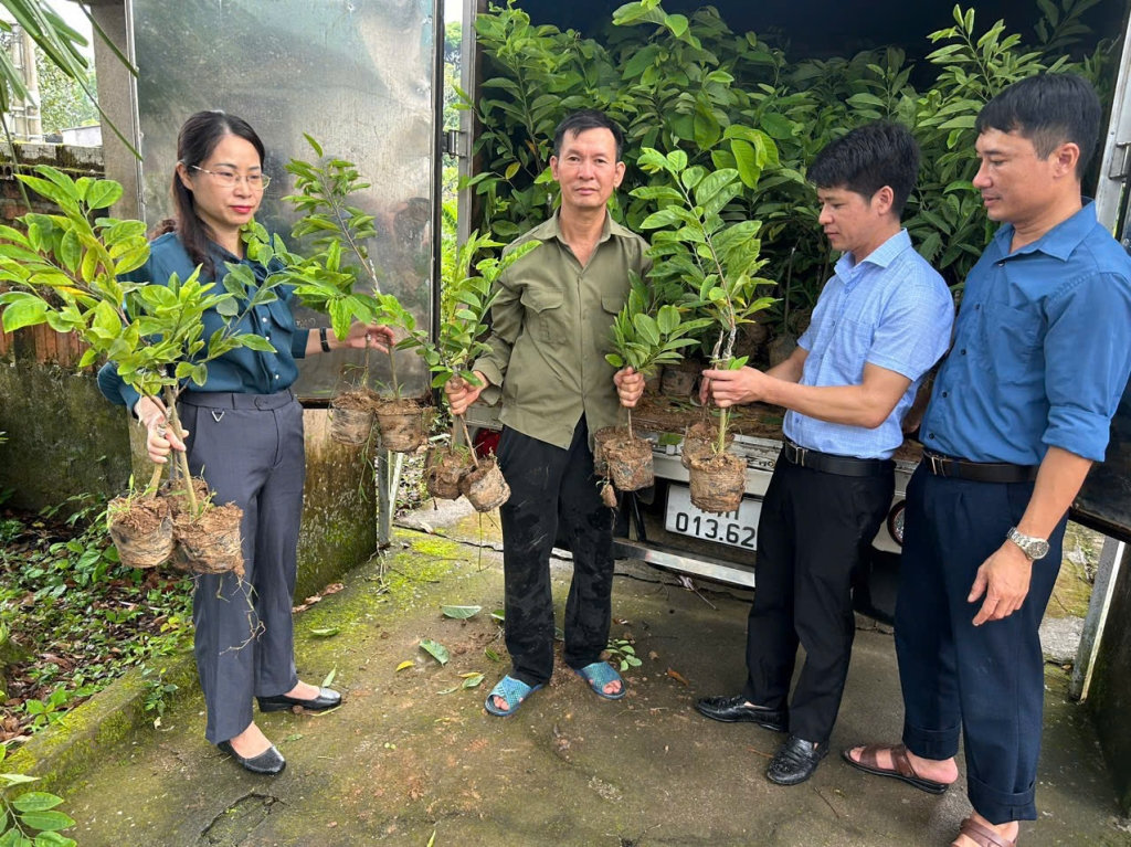 Ông Toàn luôn gương mẫu đi đầu chuyển đổi cơ cấu cây trồng vật nuôi