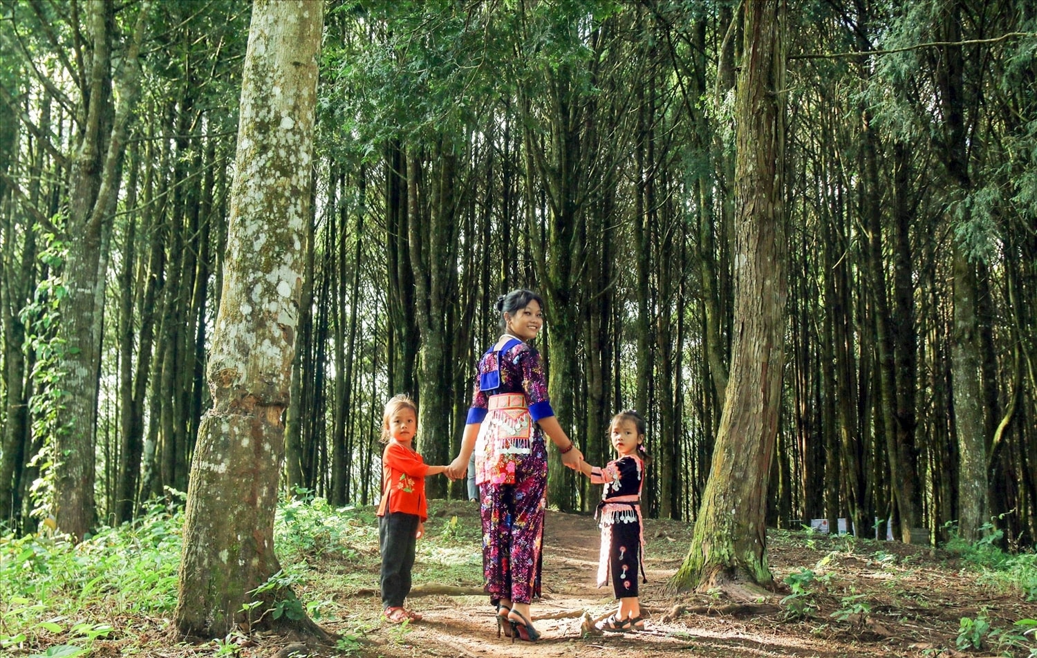 Một trong những hướng phát triển kinh tế cho các hộ đồng bào DTTS ở Kỳ Sơn, là bảo tồn di sản, bản sắc văn hóa gắn với phát triển du lịch (Trong ảnh: Khách du lịch trải nghiệm cánh rừng Sa mu ở Tây Sơn)