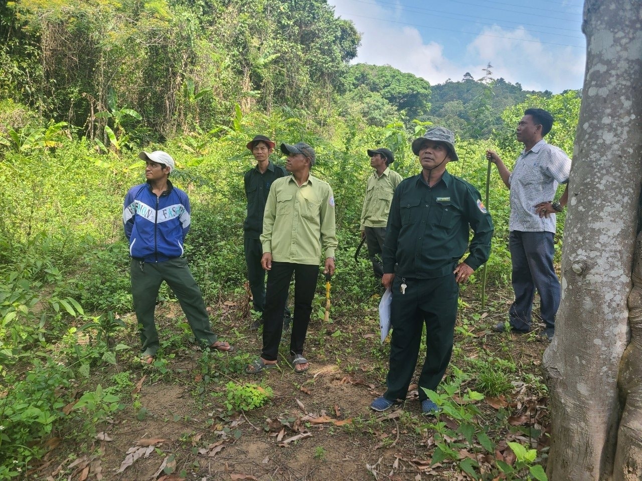 Chính sách khoán bảo vệ rừng góp phần giải quyết việc làm, tăng thu nhập, cải thiện đời sống cho các hộ đồng bào DTTS tỉnh Bình Thuận.