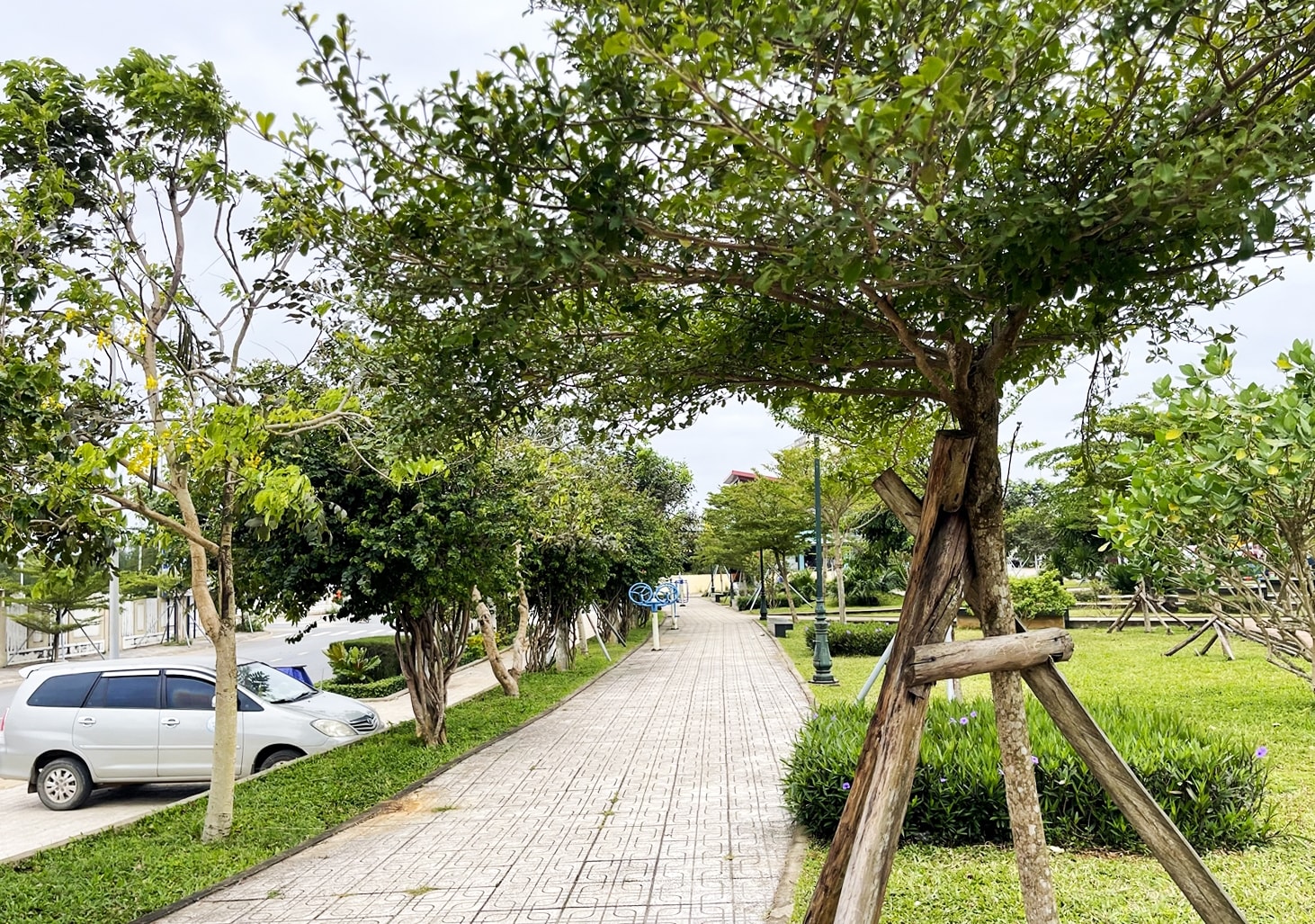 Màu xanh hiện diện tại khu vui chơi trung tâm huyện đảo Lý Sơn