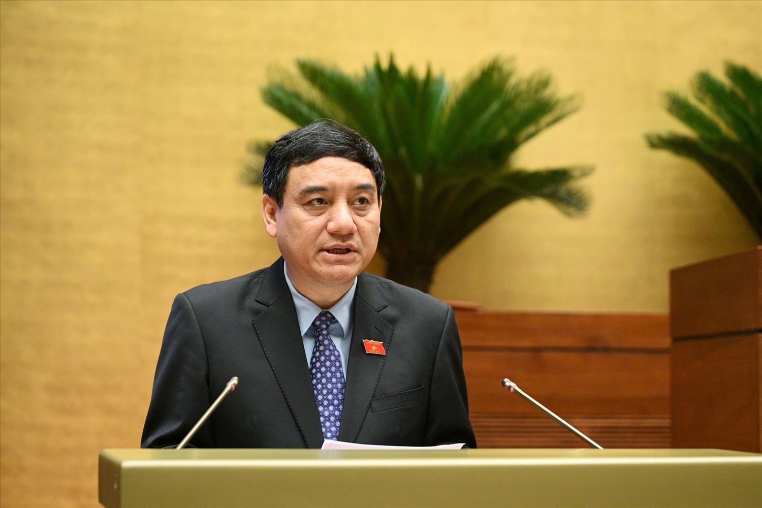 Chủ nhiệm Ủy ban Văn hóa và Xã hội Nguyễn Đắc Vinh Chủ nhiệm Ủy ban Văn hóa và Xã hội Nguyễn Đắc Vinh