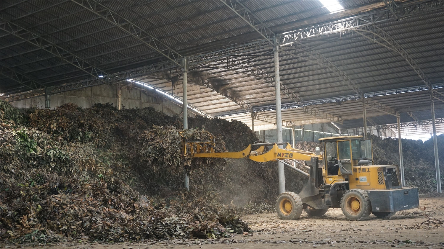 Tỉnh Lào Cai đã và đang tạo điều kiện tối đa cho doanh nghiệp đầu tư trong lĩnh vực nông, lâm nghiệp Tỉnh Lào Cai đã và đang tạo điều kiện tối đa cho doanh nghiệp đầu tư trong lĩnh vực nông, lâm nghiệp