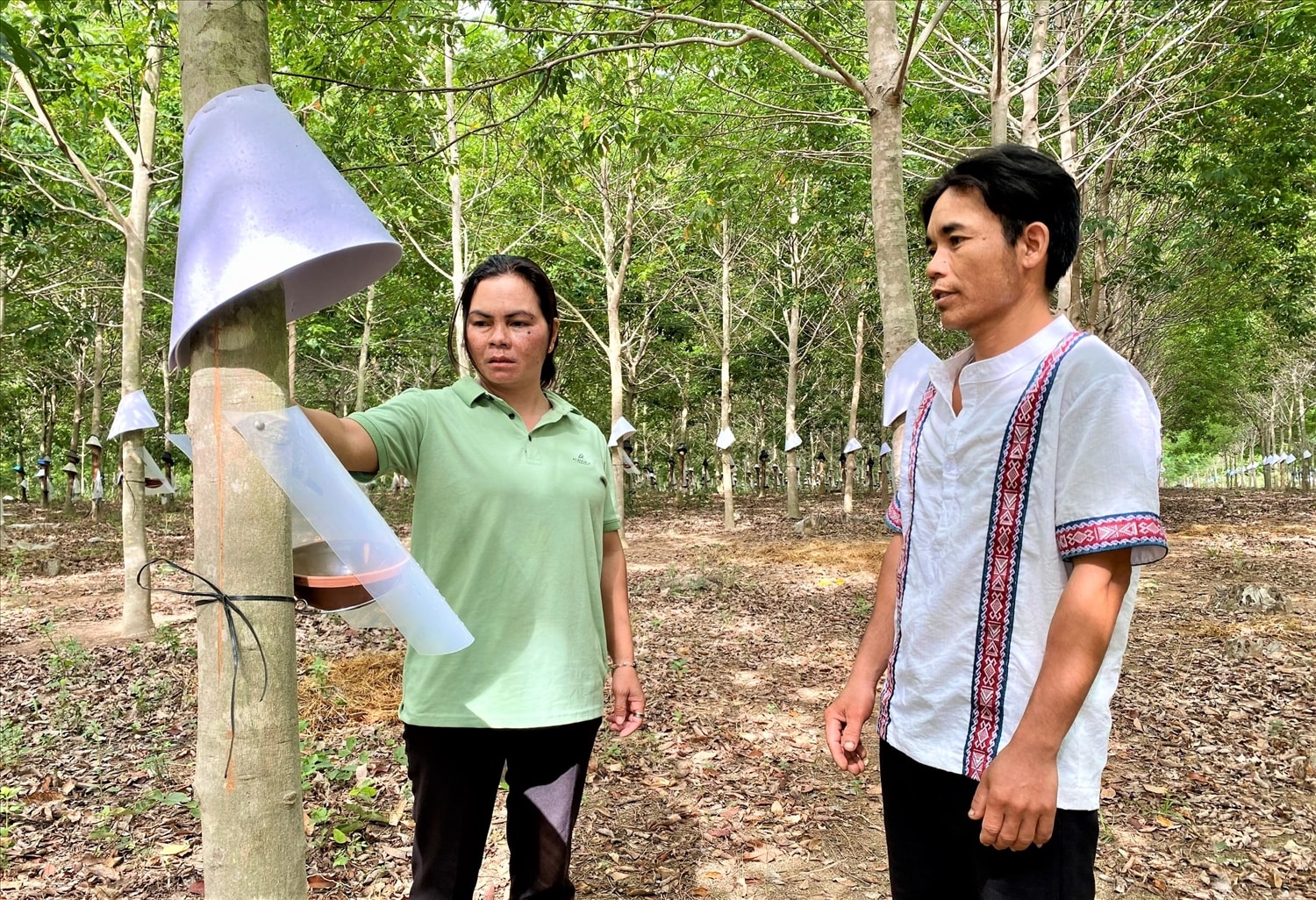 Anh A Hả, Người có uy tín làng Đăk Krăk, xã Hòa Bình thường xuyên tuyên truyền, vận động bà con chăm lo phát triển kinh tế, xây dựng cuộc sống ấm no
