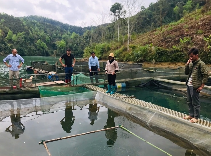 Ban Quản lý các Chương trình MTQG xã Bắc La kiểm tra cá tại lồng nuôi của các hộ tham gia Dự án 2 - Đa dạng hóa sinh kế, phát triển mô hình giảm nghèo thuộc Chương trình mục tiêu quốc gia giảm nghèo bền vững năm 2024,  thuộc 2 thôn Nà Sòm, Hát Lốc. Ảnh: Hà Thị Lai