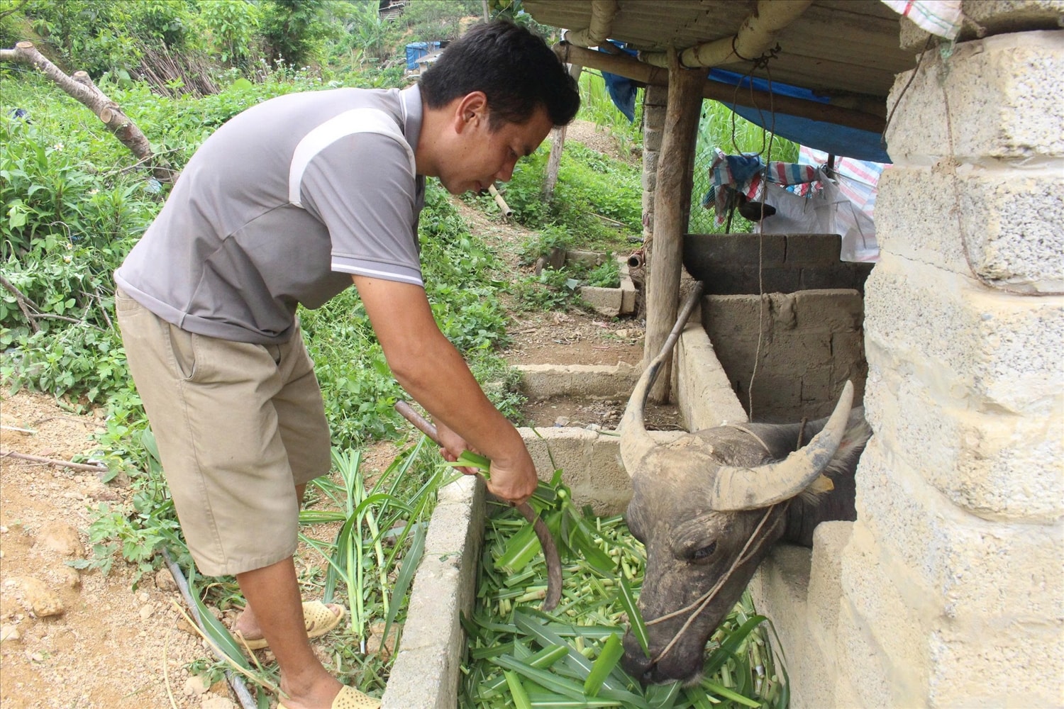 Anh Lý Văn Trình (sinh năm 1986) dân tộc Mông chia sẻ: 