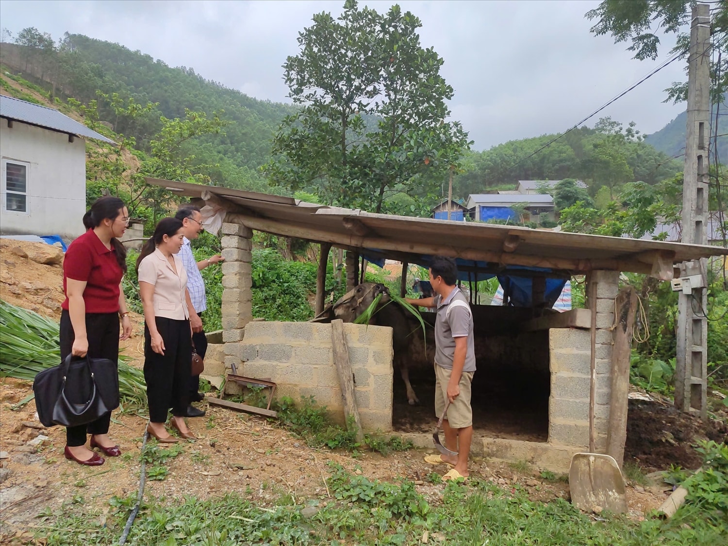 Cán bộ phòng Dân tộc và Tôn giáo huyện Võ Nhai kiểm tra mô hình nuôi trâu sinh sản tại xóm Khuôn Ngục, xã La Hiên, huyện Võ Nha (Ảnh Thảo Khánh)i 
