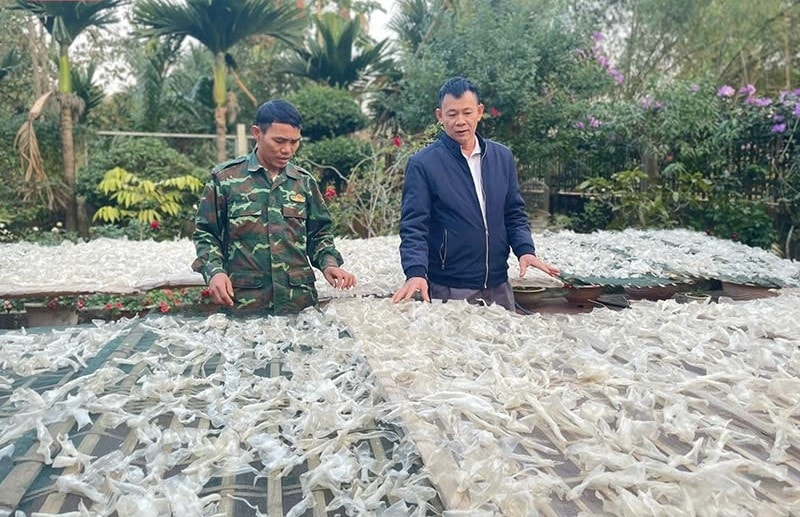 Sản xuất bánh canh dong xã Ngọc Liên huyện Ngọc Lặc (Thanh Hóa)