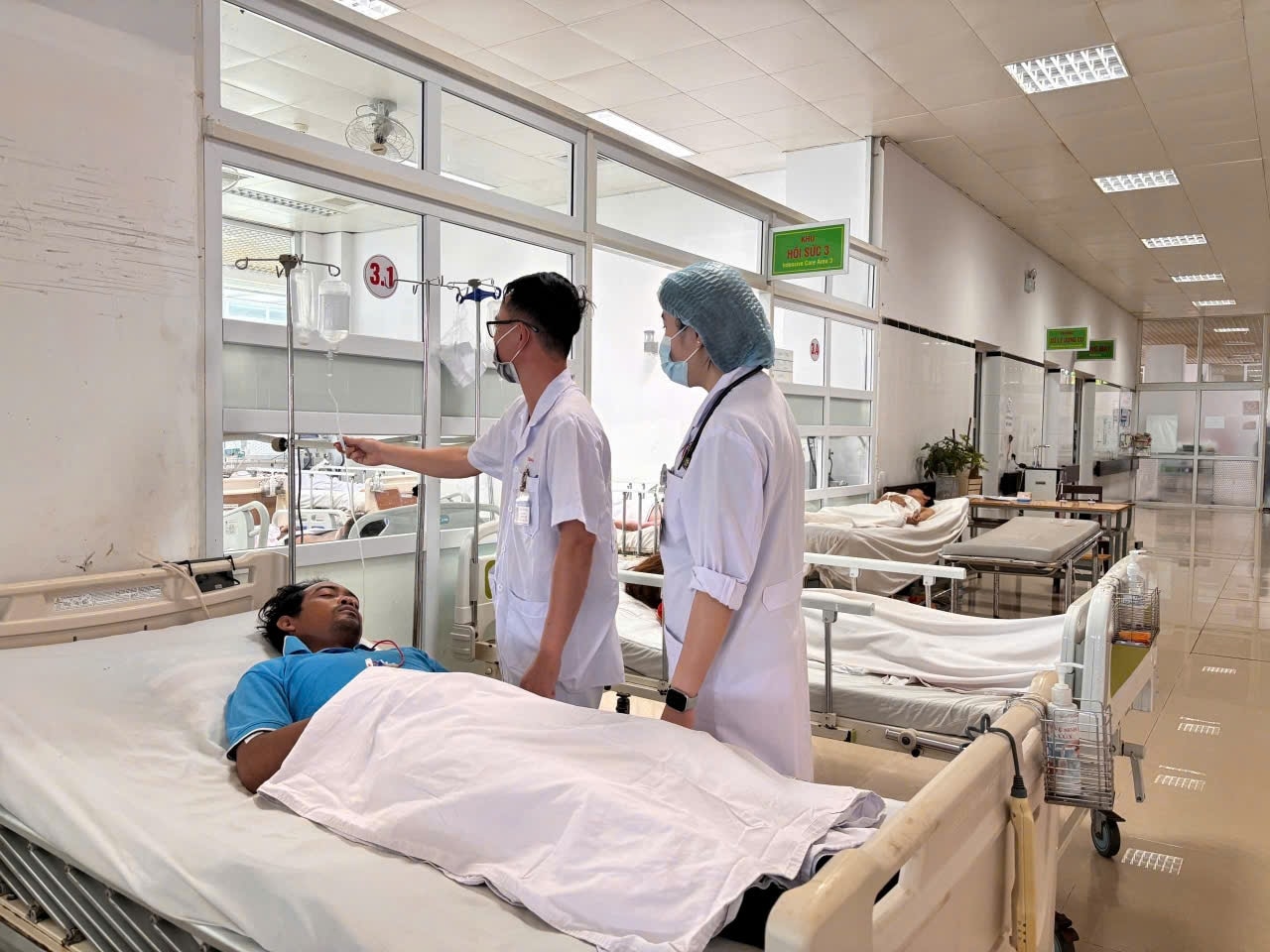 Hái nấm từ rẫy về ăn, 7 người ngộ độc 