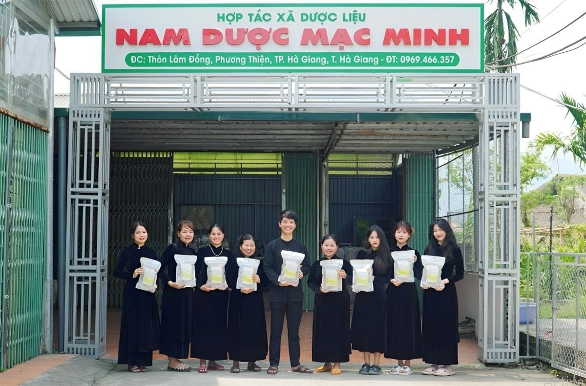 Việc khai thác tiềm năng, lợi thế để liên kết trồng cây dược liệu theo chuỗi giá trị đang mở ra hướng đi mới trong sản xuất nông nghiệp vùng cao, vùng đồng bào DTTS