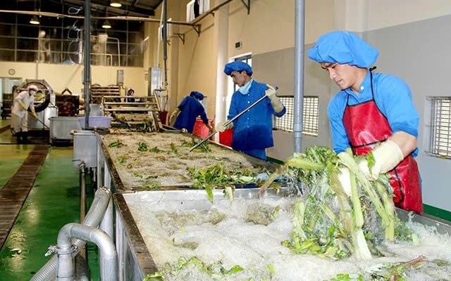 Cần có chiến lược với những giải pháp cụ thể để nâng tầm 