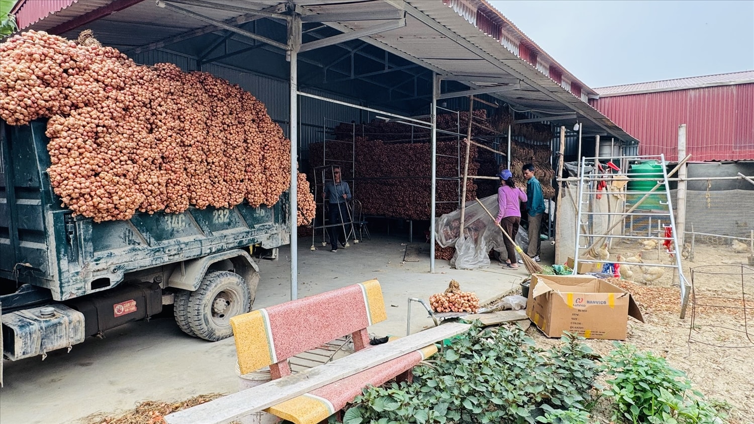 Sản phẩm chuẩn bị cung cấp ra thị trường