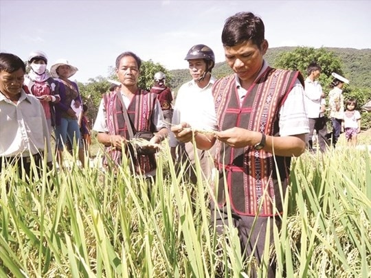 Công tác tuyên truyền, vận động có vai trò quan trọng trong quá trình triển khai thực hiện Chương trình MTQG 1719  (Ảnh minh họa).