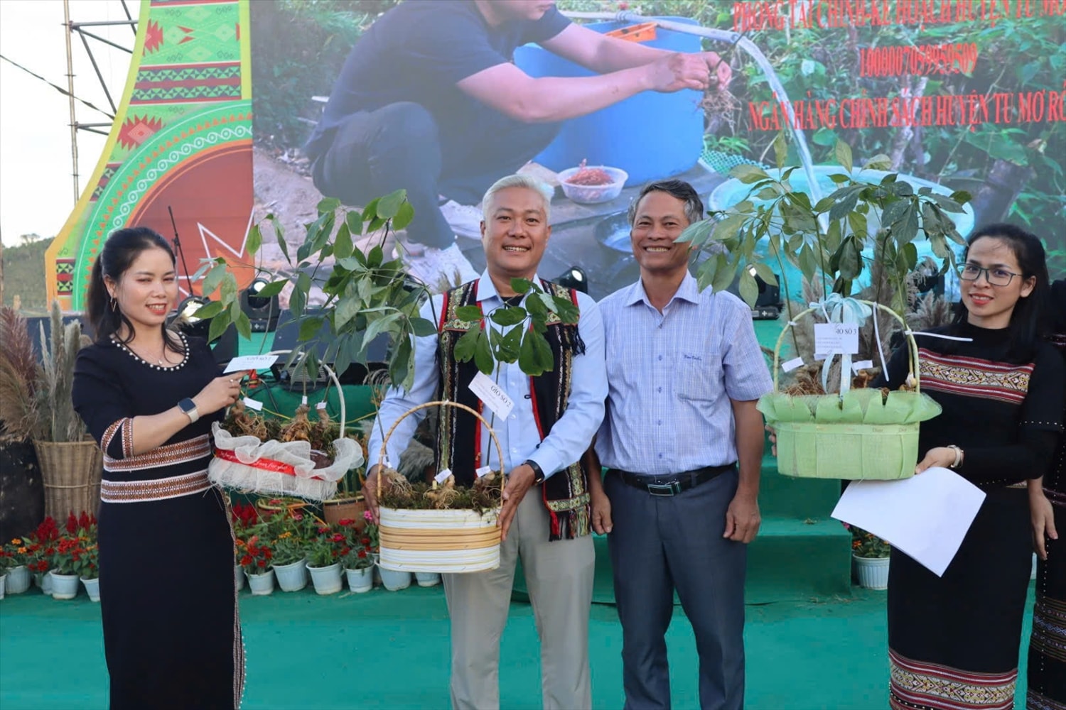 Tri thức dân gian về Sâm Ngọc Linh huyện Tu Mơ Rông và huyện Đăk Glei, tỉnh Kon Tum được đưa vào Danh mục Di sản văn hóa phi vật thể quốc gia