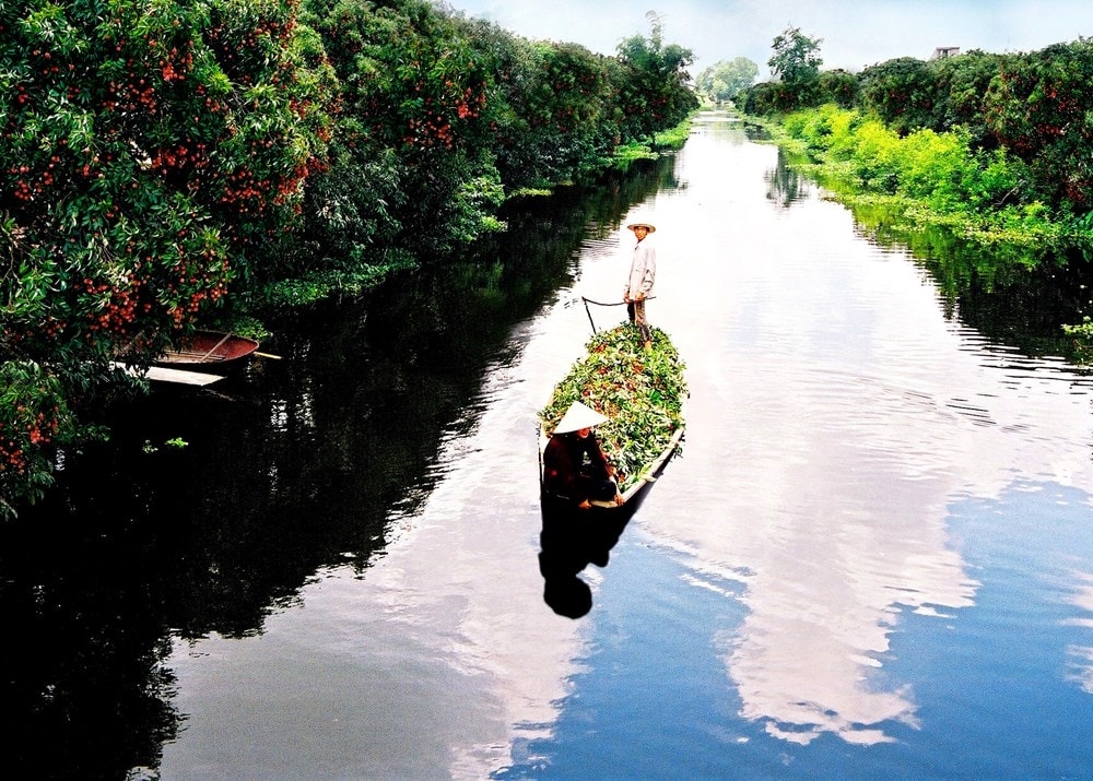 Thanh Hà mùa vải chín 