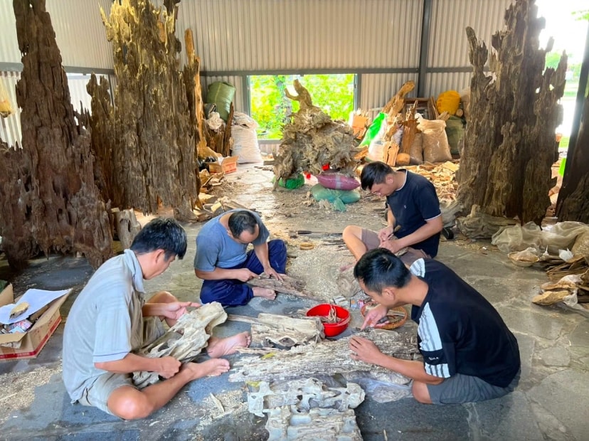 Tri thức khai thác và chế biến Trầm Hương Khánh Hòa được công nhận là Di sản văn hoá  phi vật thể quốc gia
