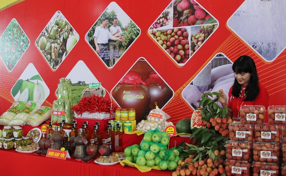 Chương trình OCOP cũng đã góp phần tạo việc làm, tăng thu nhập cho người dân, góp phần thúc đẩy phát triển kinh tế nông thôn ở  Bắc Giang