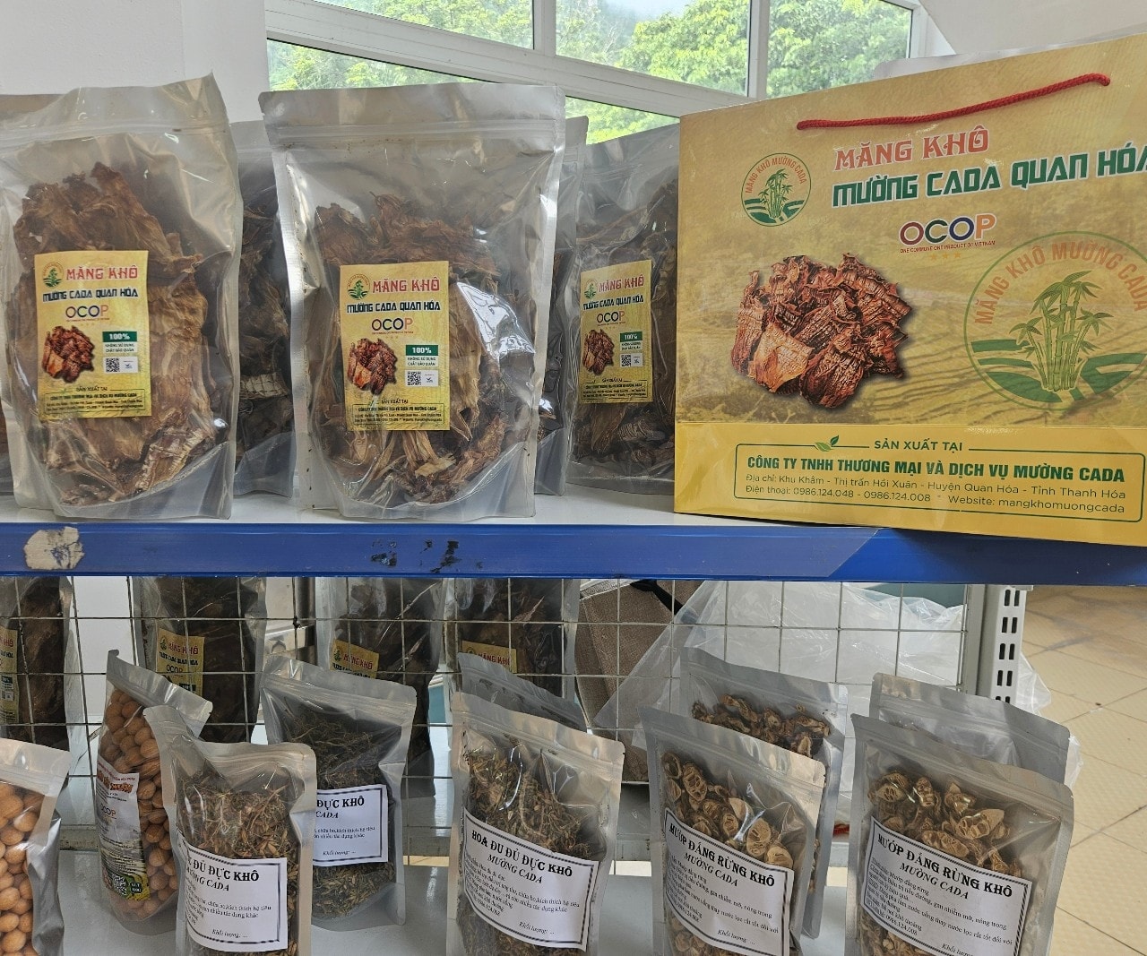 Thanh Hóa có 19 sản phẩm măng được công nhận OCOP
