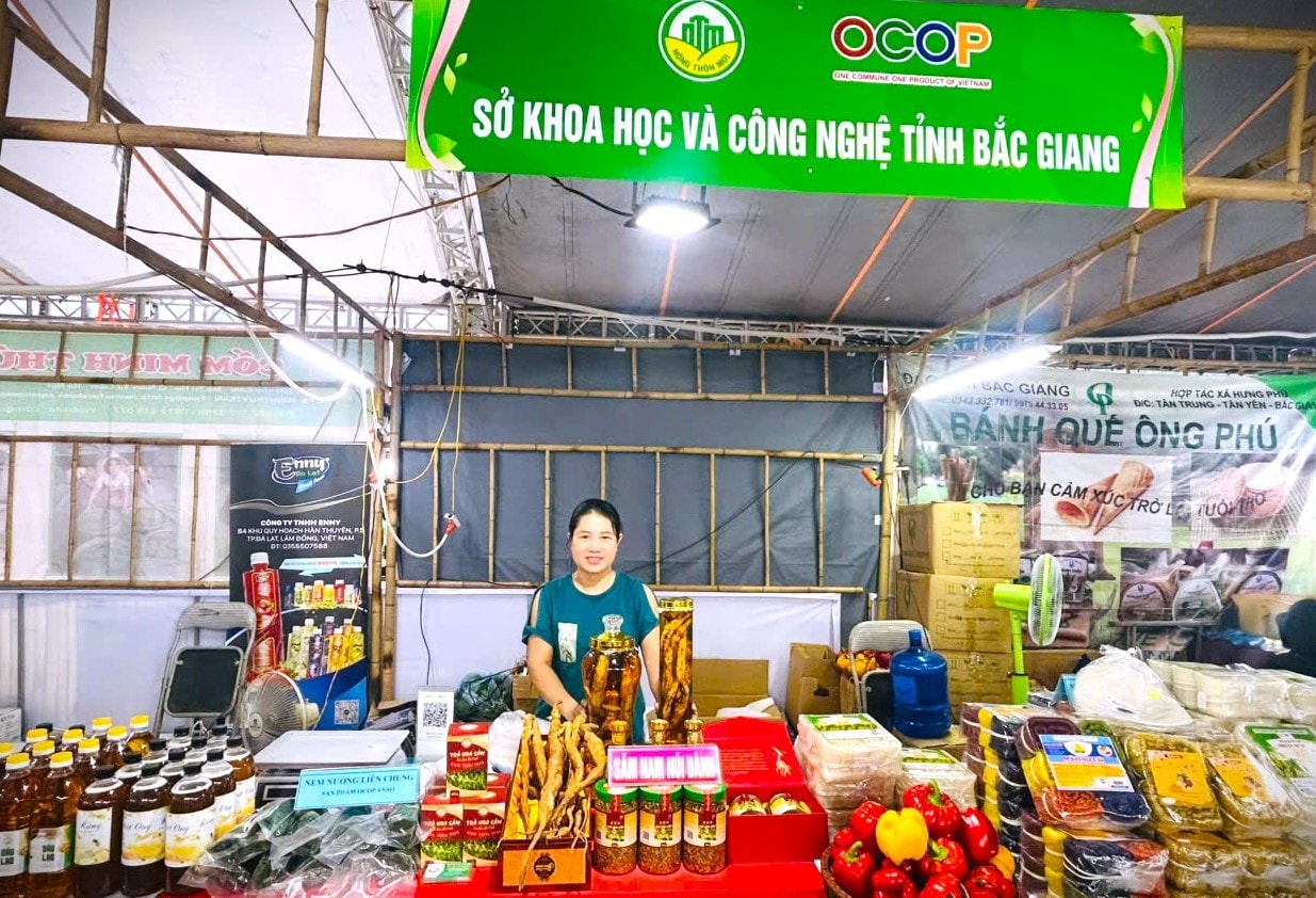 Chị Trần Thị Thanh bên  các sản phẩm từ cây sâm nam của HTX tại Hội chợ giới thiệu sản phẩm OCOP gắn với văn hóa các tỉnh Đồng bằng sông Hồng cuối tháng 5 tại Hà Nội