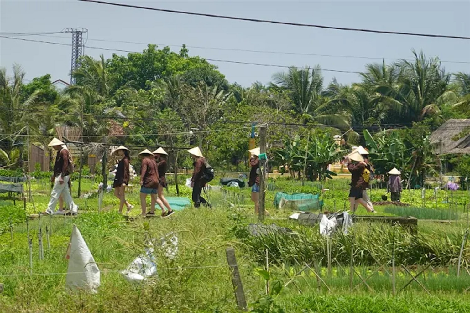Nhờ ông Hùng “đưa tây về làng”, bây giờ hằng ngày ở Trà Nhiêu thường xuyên đón những đoàn khách nước ngoài.