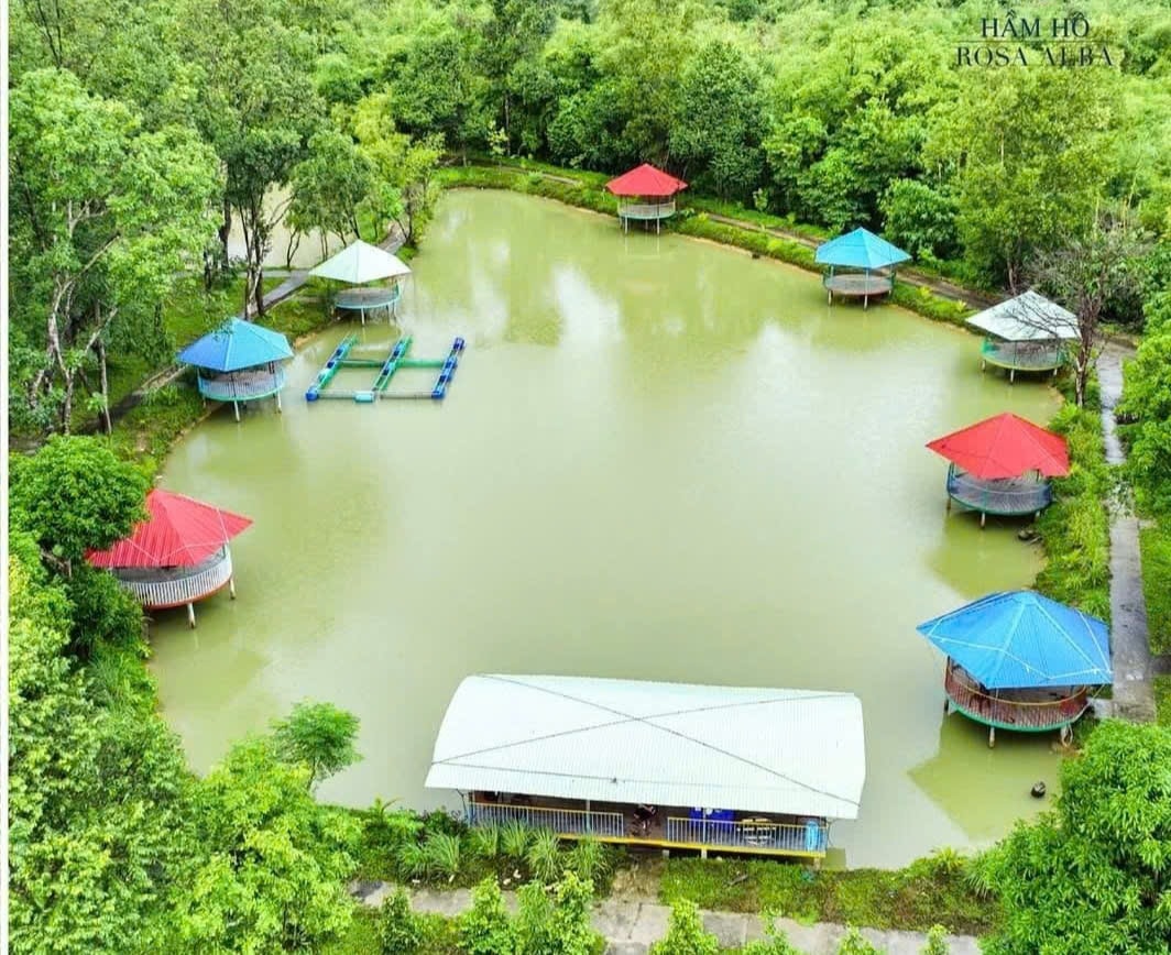 Các chòi câu cá thư giãn trên hồ bên trong khuôn viên Khu du lịch Hầm Hô 