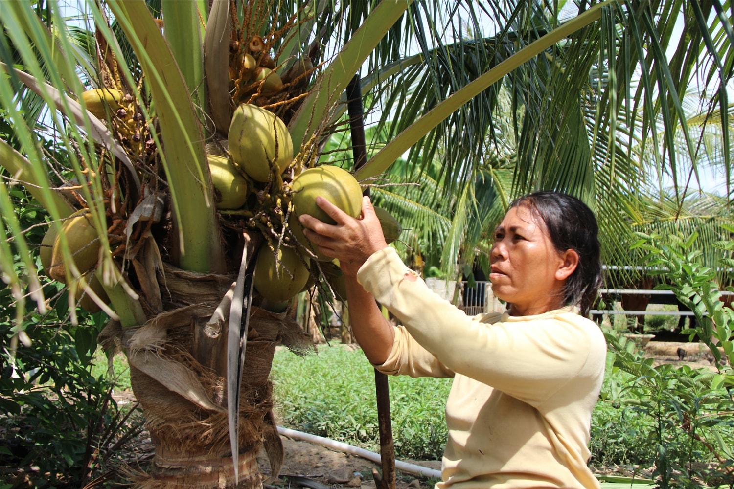 Chính sách hỗ trợ của Nhà nước giúp người dân đầu tư phát triển sản xuất, ổn định đời sống Chính sách hỗ trợ của Nhà nước giúp người dân đầu tư phát triển sản xuất, ổn định đời sống