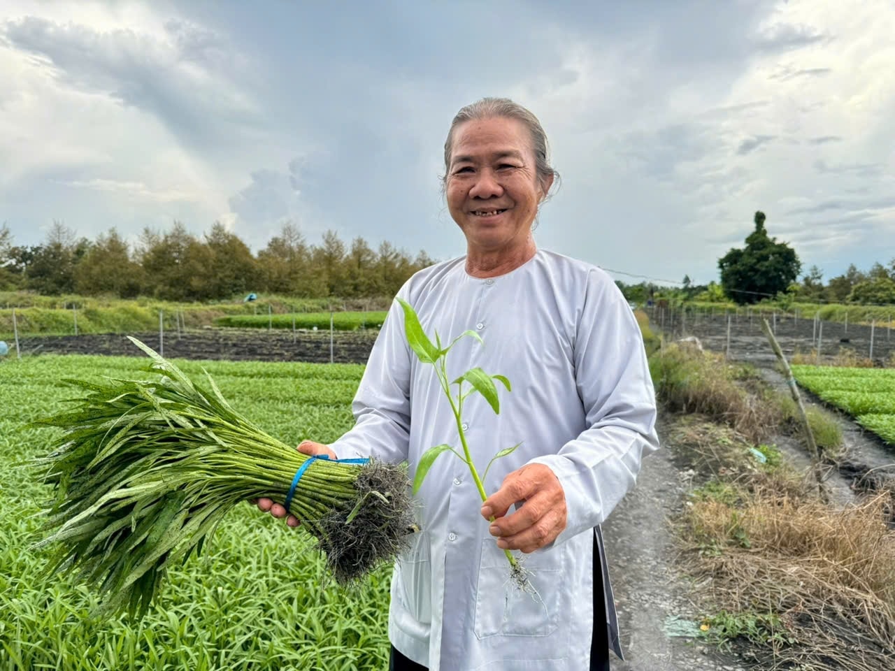 Ông Tám Bi luôn - Giám đốc Hợp tác xã Rau an toàn Hòa Phát luôn sẵn sàng chia sẻ khó khăn khi có người cần giúp đỡ (Ảnh: Hạnh Nguyên) Ông Tám Bi luôn - Giám đốc Hợp tác xã Rau an toàn Hòa Phát luôn sẵn sàng chia sẻ khó khăn khi có người cần giúp đỡ (Ảnh: Hạnh Nguyên)