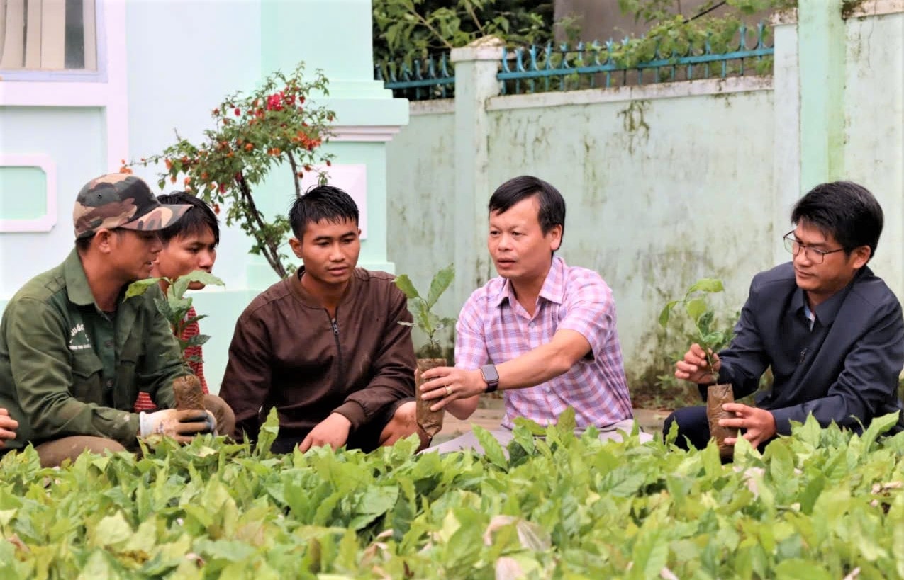 Người dân, doanh nghiệp ủng hộ 104.500 cây cà phê giống để giúp đồng bào Xơ Đăng nghèo ở xã Tu Mơ Rông. Ảnh: Ngọc Chí