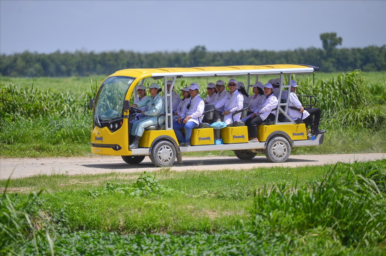 Ảnh: Quang Định