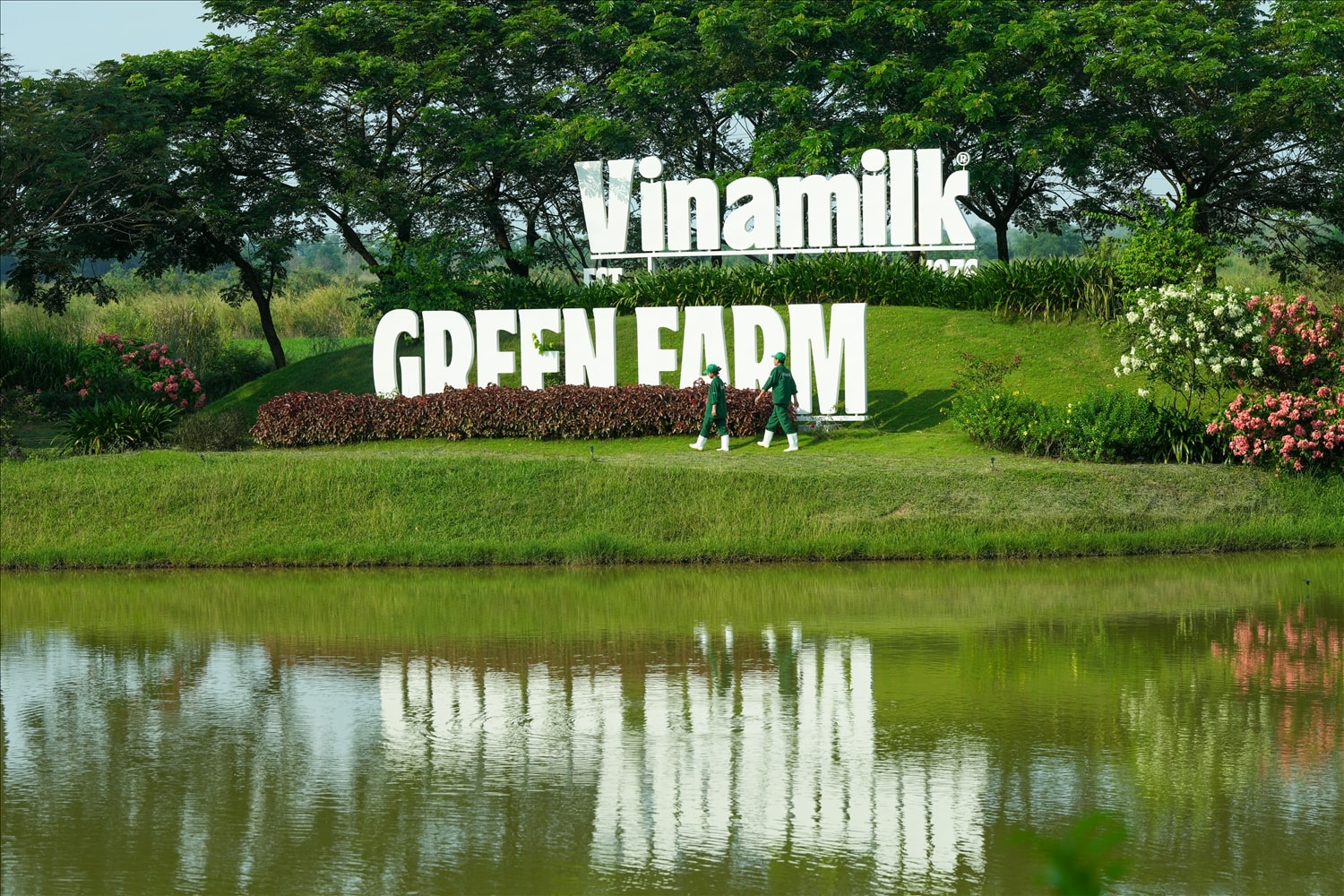 Ảnh: Quang Định