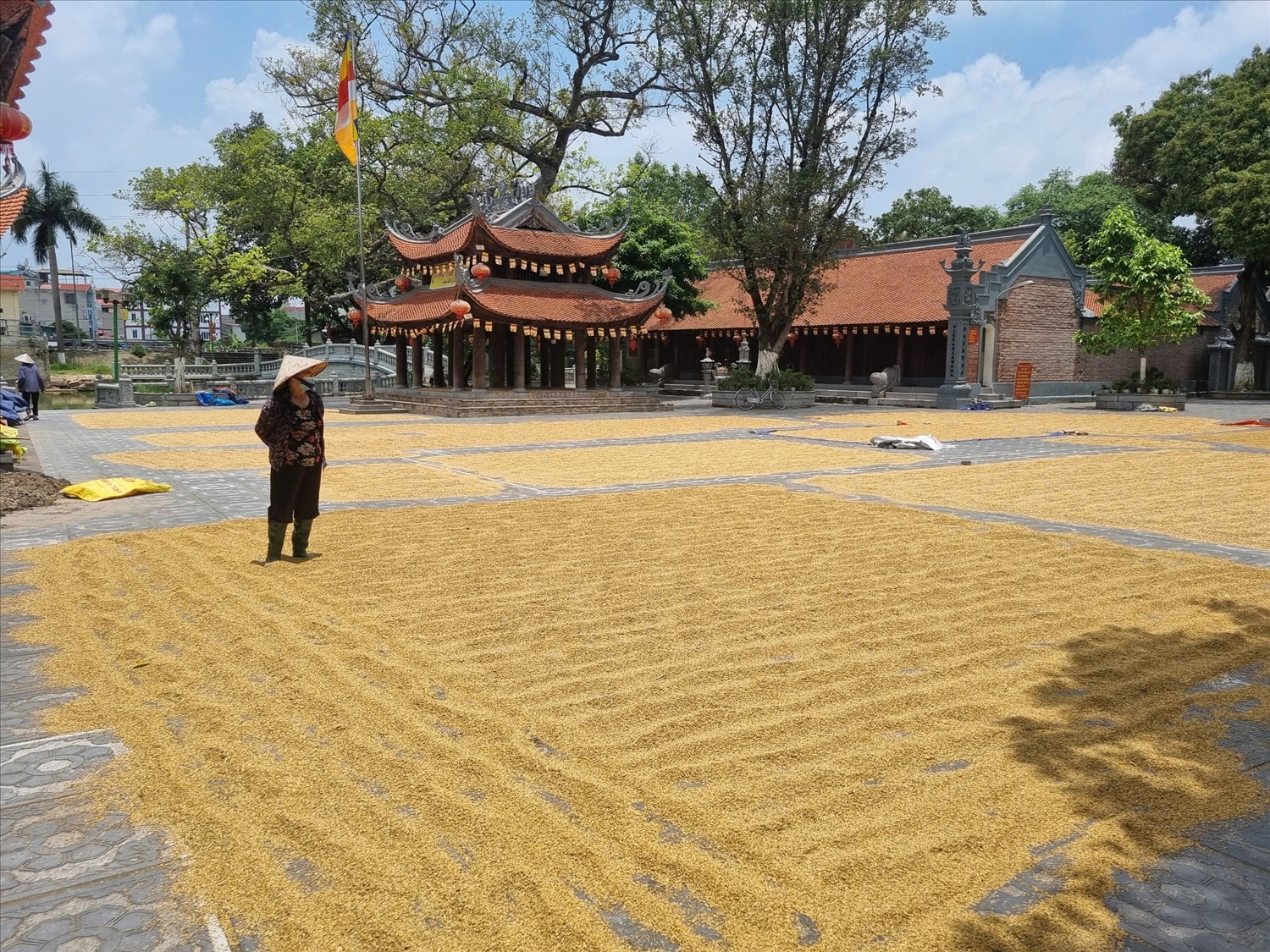 Quần thể di tích đình, đền, chùa làng Đồng Kỵ gắn bó mật thiết với đời sống hằng ngày, là nơi sinh hoạt văn hóa tín ngưỡng của Nhân dân địa phương. Quần thể di tích đình, đền, chùa làng Đồng Kỵ gắn bó mật thiết với đời sống hằng ngày, là nơi sinh hoạt văn hóa tín ngưỡng của Nhân dân địa phương.