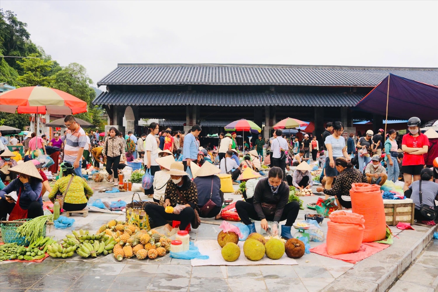 Chợ phiên Phương Thiện họp vào sáng thứ Bảy hằng tuần, nơi bà con mang theo những sản vật nông sản tươi ngon của núi rừng ra trao đổi, buôn bán.