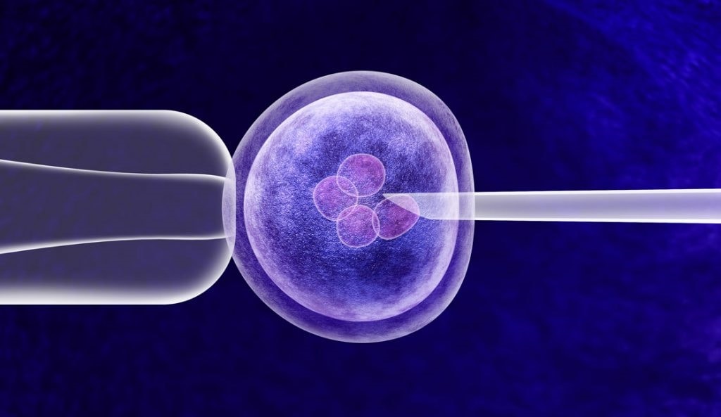 Phụ nữ độc thân có nguyện vọng sinh con sẽ được làm IVF từ 1/10 